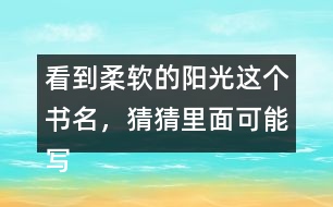 看到柔軟的陽光這個書名，猜猜里面可能寫了什么？