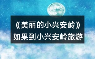 《美麗的小興安嶺》如果到小興安嶺旅游，你會選擇哪個季節(jié)去？結(jié)合課文內(nèi)容說說你的理由。