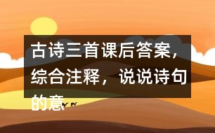 古詩三首課后答案，綜合注釋，說說詩句的意思？