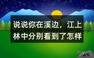 說說你在溪邊，江上、林中分別看到了怎樣的畫面。