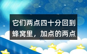 它們兩點四十分回到蜂窩里，加點的“兩點四十分”能體會到什么