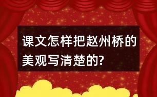 課文怎樣把趙州橋的美觀寫清楚的?