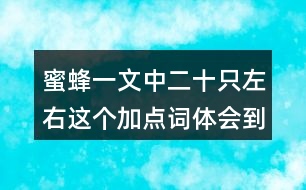 蜜蜂一文中二十只左右這個加點詞體會到什么