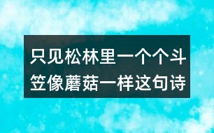 只見松林里一個個斗笠像蘑菇一樣這句詩的意思是什么？