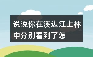 說說你在溪邊、江上、林中分別看到了怎樣的畫面,任選其中一個(gè)寫下來