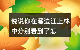 說說你在溪邊、江上、林中分別看到了怎樣的畫面。