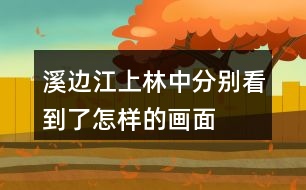 溪邊江上林中分別看到了怎樣的畫面