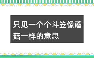 只見一個個斗笠像蘑菇一樣的意思
