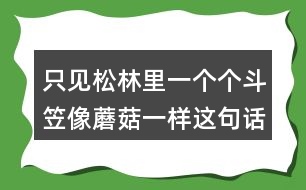 只見松林里一個個斗笠像蘑菇一樣這句話是什么意思