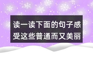 讀一讀下面的句子感受這些普通而又美麗的事物你也來寫一寫吧雨后我們會看到地