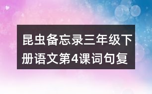 昆蟲備忘錄三年級下冊語文第4課詞句復(fù)習(xí)要點(diǎn)筆記