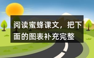 閱讀蜜蜂課文，把下面的圖表補(bǔ)充完整