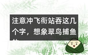 注意沖飛銜站吞這幾個(gè)字，想象翠鳥捕魚的情景