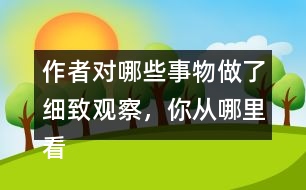 作者對哪些事物做了細(xì)致觀察，你從哪里看出來的