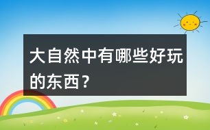 大自然中有哪些好玩的東西？