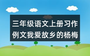 三年級語文上冊習(xí)作例文：我愛故鄉(xiāng)的楊梅優(yōu)秀范文2篇