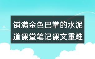 鋪滿金色巴掌的水泥道課堂筆記課文重難點探究