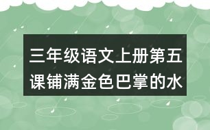 三年級(jí)語(yǔ)文上冊(cè)第五課鋪滿(mǎn)金色巴掌的水泥道課后答案