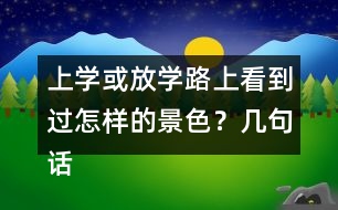 上學(xué)或放學(xué)路上看到過怎樣的景色？幾句話寫下來