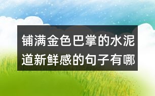 鋪滿(mǎn)金色巴掌的水泥道新鮮感的句子有哪些