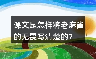 課文是怎樣將老麻雀的無(wú)畏寫(xiě)清楚的？