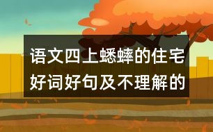 語(yǔ)文四上蟋蟀的住宅好詞好句及不理解的詞語(yǔ)