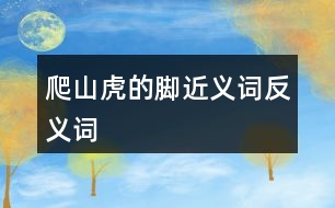 爬山虎的腳近義詞反義詞