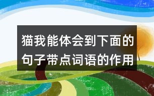 貓我能體會到下面的句子帶點詞語的作用，還能用這些詞語說句子呢。