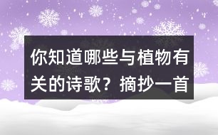 你知道哪些與植物有關的詩歌？摘抄一首