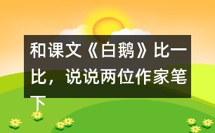 和課文《白鵝》比一比，說說兩位作家筆下的鵝有什么共同點？