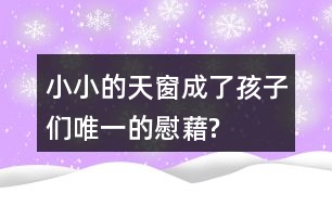 小小的天窗成了孩子們“唯一的慰藉”?找出相關(guān)語(yǔ)句和同學(xué)交流。