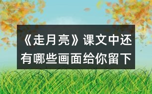 《走月亮》課文中還有哪些畫面給你留下了深刻的印象？和同學(xué)交流。