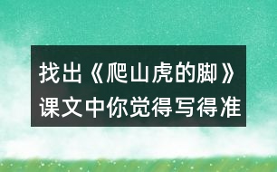 找出《爬山虎的腳》課文中你覺(jué)得寫(xiě)得準(zhǔn)確、形象的句子，抄寫(xiě)下來(lái)。