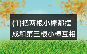 (1)把兩根小棒都擺成和第三根小棒互相平行。看一看，這兩根小棒互相平行嗎?