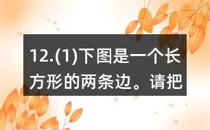 12.(1)下圖是一個長方形的兩條邊。請把這個長方形畫完整。