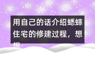 用自己的話介紹蟋蟀住宅的修建過程，想想為什么蟋蟀的住宅可以算是“偉大的工程”。