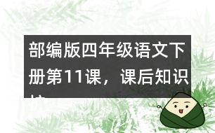 部編版四年級(jí)語文下冊(cè)第11課，課后知識(shí)擴(kuò)展：什么是白樺樹