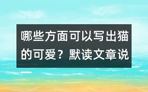 哪些方面可以寫出貓的可愛？默讀文章說一說