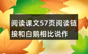 閱讀課文57頁閱讀鏈接,和白鵝相比說作家筆下的鵝都有什么共同點