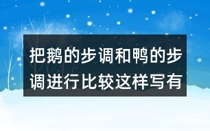 把鵝的步調(diào)和鴨的步調(diào)進行比較這樣寫有什么好處