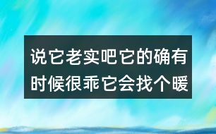 說它老實吧它的確有時候很乖它會找個暖和的地方仿寫