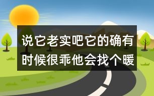 說它老實吧它的確有時候很乖他會找個暖和的地方仿寫