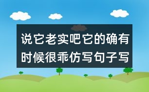 說它老實吧它的確有時候很乖仿寫句子寫人物