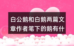 白公鵝和白鵝兩篇文章作者筆下的鵝有什么共同點(diǎn)表達(dá)上的相似之處是什么