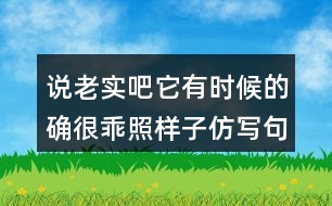 說老實吧它有時候的確很乖照樣子仿寫句子