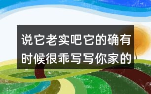 說它老實吧它的確有時候很乖寫寫你家的動物