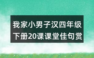 我家小男子漢四年級(jí)下冊(cè)20課課堂佳句賞析筆記