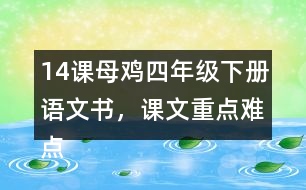 14課母雞四年級(jí)下冊(cè)語文書，課文重點(diǎn)難點(diǎn)筆記