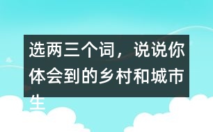 選兩三個詞，說說你體會到的鄉(xiāng)村和城市生活有何不同