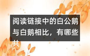 閱讀鏈接中的白公鵝與白鵝相比，有哪些共同點(diǎn)？